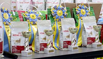 �������� ����� 11-12 ������ 2015 WCF-����� 11-169A5208 copy.jpg